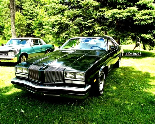 1980-oldsmobile