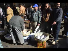 بازار ماهی رشت- ماهی کوچه