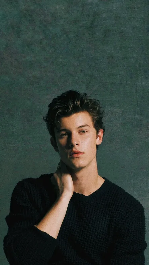 shawn mendes