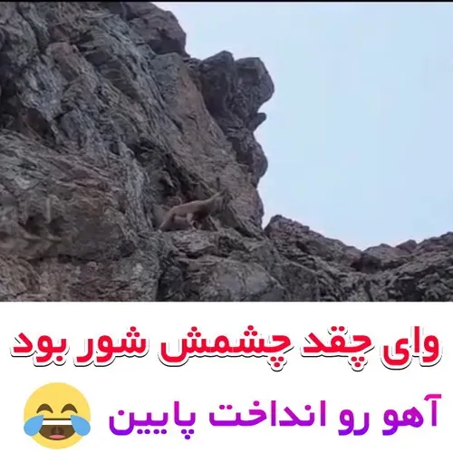 چقد چشمش شور بود آهو افتاد پایین 😂