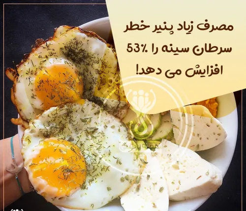 مصرف زیاد پنیر خطر سرطان سینه را 53% افزایش می دهد !🧀