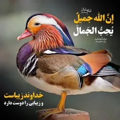 السلام علی المهدی عج 