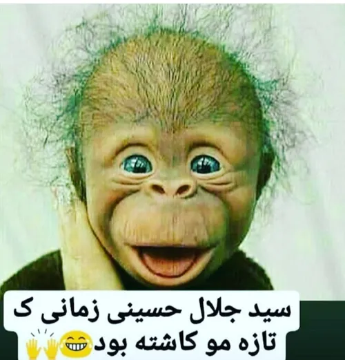 😹 لنگی سوز دخی تاجپرست