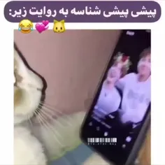 پیشی پیشی شناسهه🥲😂