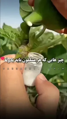 چیز هایی که هر مسلمون باید بدونه 💖🙂