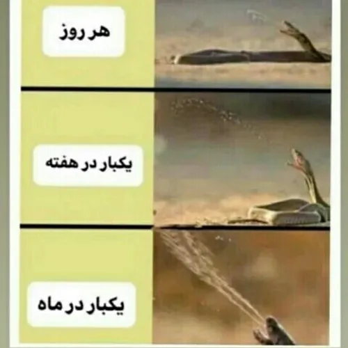 امیدوارم.نفهمیدین😑