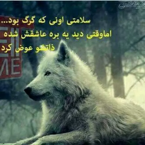 سلامتی اونی که گرگ بود...