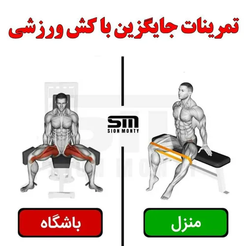 💢 نکات مهم برای بدنی بینظیر 💢