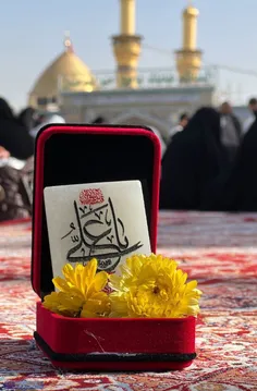 ببین که با اهالی زمین چه می‌کند حسین 