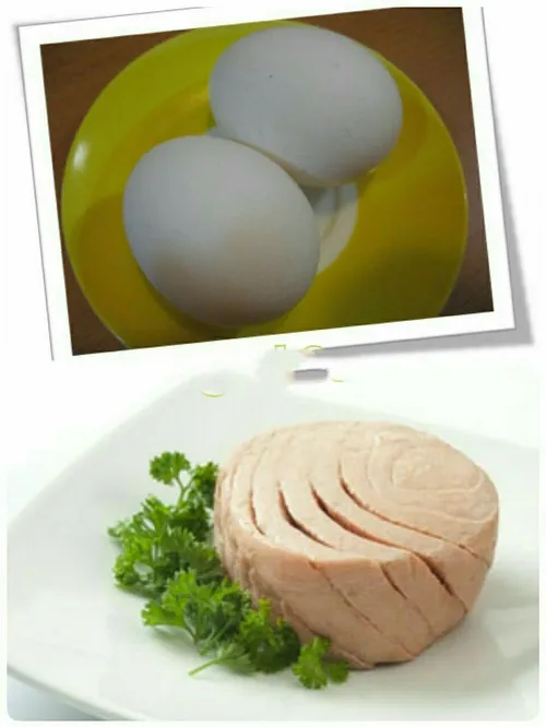 مصرف تخم مرغ با تن ماهی ممنوع 👌