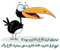 اگه گفتی فرق کلاغ با قناری چیه؟؟!!