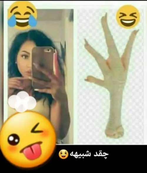 چقدر بهم میان مگه نه 😂