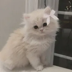 پیشیی