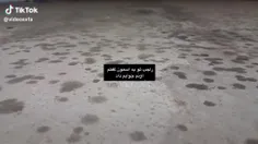 اونم دلش واست تنگ شد🥺🙃