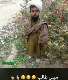 مینی طالبان