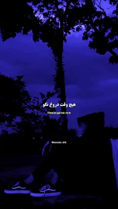 ی فکت: