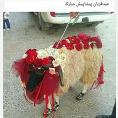 عیدتان مبارک