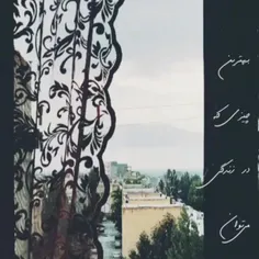 چیزی که در زندگی 