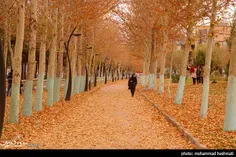 پارک لاله یکی از بزرگترین بوستان های تفریحی شهر سبزوار اس