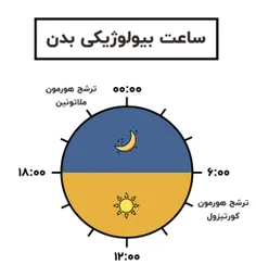 جهان و طبیعت  دارای نظم است. ساعتی منظم که بر اساس آن گرد