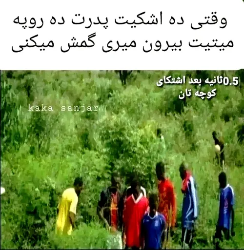 کل منطقه 😐