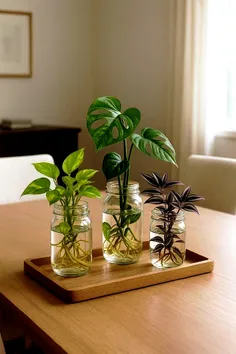 🌸یک سلام صمیمی