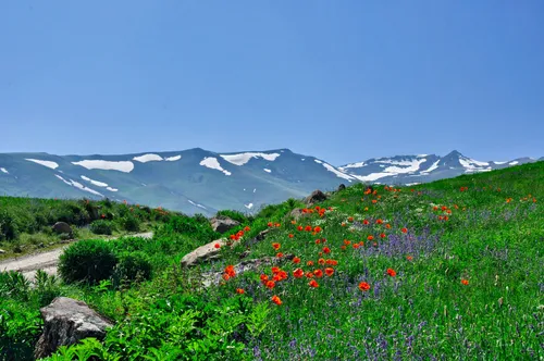 سبلان؛ عکاس: بردیا سعیدی