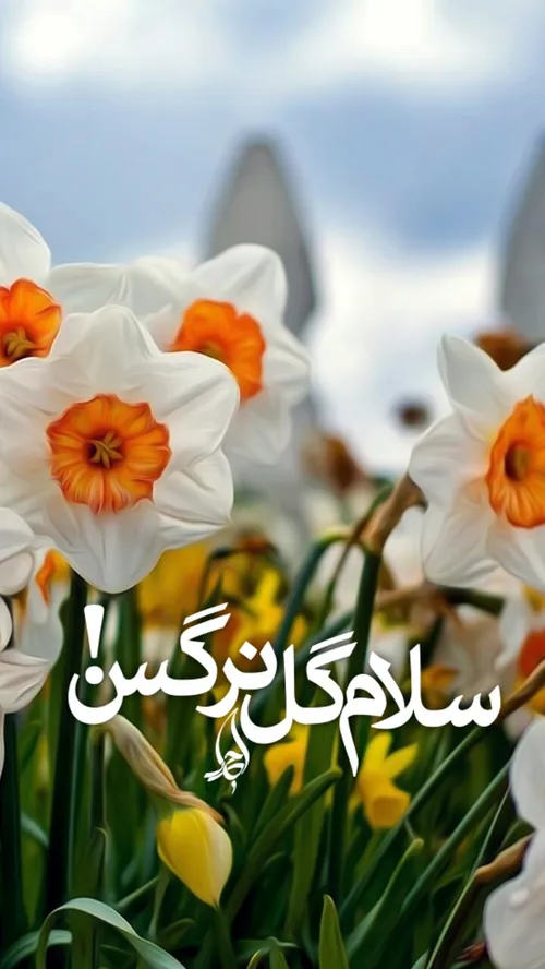 جای تعجب نیست اگر