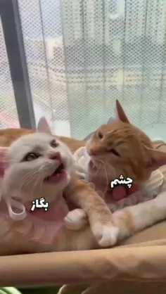 وایییی اینارووووو🥺