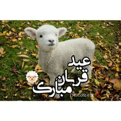 عید قربـــ🐑 ـــان بر تمامی 🇮 🇷 ⛱ 