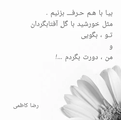 رضا کاظمی