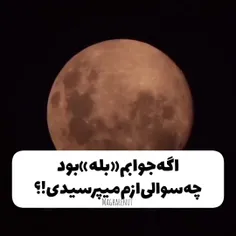 منم از اینا👀
گشاد نباشید بگیدددد