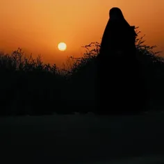 قدم قدم پیاده تا عرش 