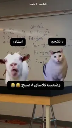 قبول دارین؟🤣