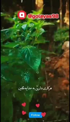 کار خوبه خدا درست کنه 