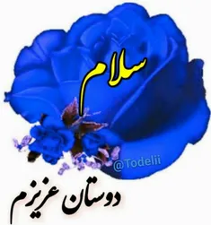 سلام دوستان عزیزم صبح همگی بخیروشادی