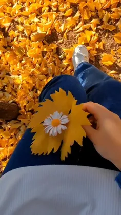 قلبت را آرام کن🧡