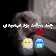 چند سالته بود فهمیدی؟!...