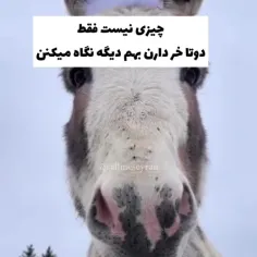 اینو برای بهترین رفیقم گذاشتم خودش میدونه کیه🐐😐😄