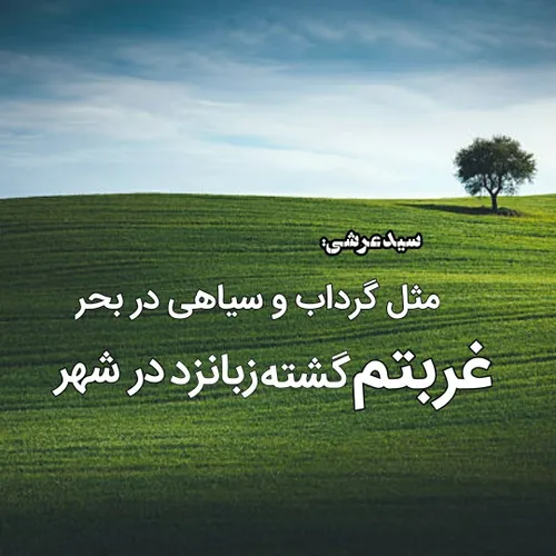 غربتم گشته زبانزد در شهر/ شعر سید عرشی/ تنهایی