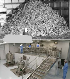 ▪️تصویر بالا: در سال 1950 برای تولید نیم کیلو انسولین مور