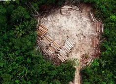 این تصویر ناراحت کننده از جنگل‌های آمازون در کشور برزیل ب