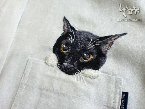 هیروکو کوبوتا، هنرمند ژاپنی، از گربه هایی که در اینترنت م