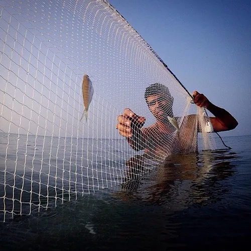 Fishing with net in PersianGulf, Dayyer, Bushehr, Iran. P