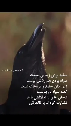 سفید بودن زیبایی نیست 