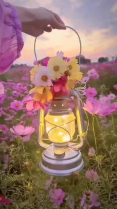 🌸🍃سلام صبح زیباتون بخیر 