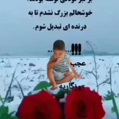 saeidkaebi 49711892