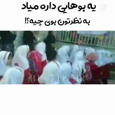 شاش شاش😂😂😂😂😂😂