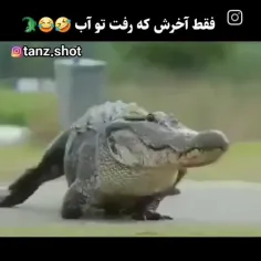 مداحی به سبک تمساح 