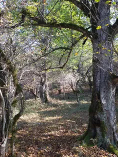 می ترسم از آدم ها ... 